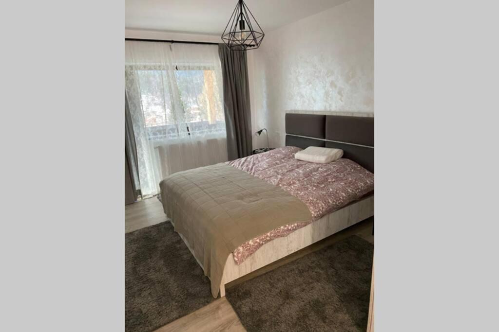 Casa Skadi, Zamora,Buşteni Dış mekan fotoğraf